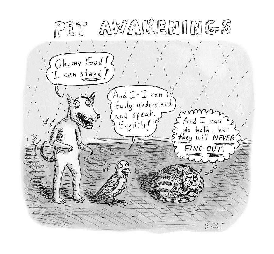 Pet Awakenings by Roz Chast