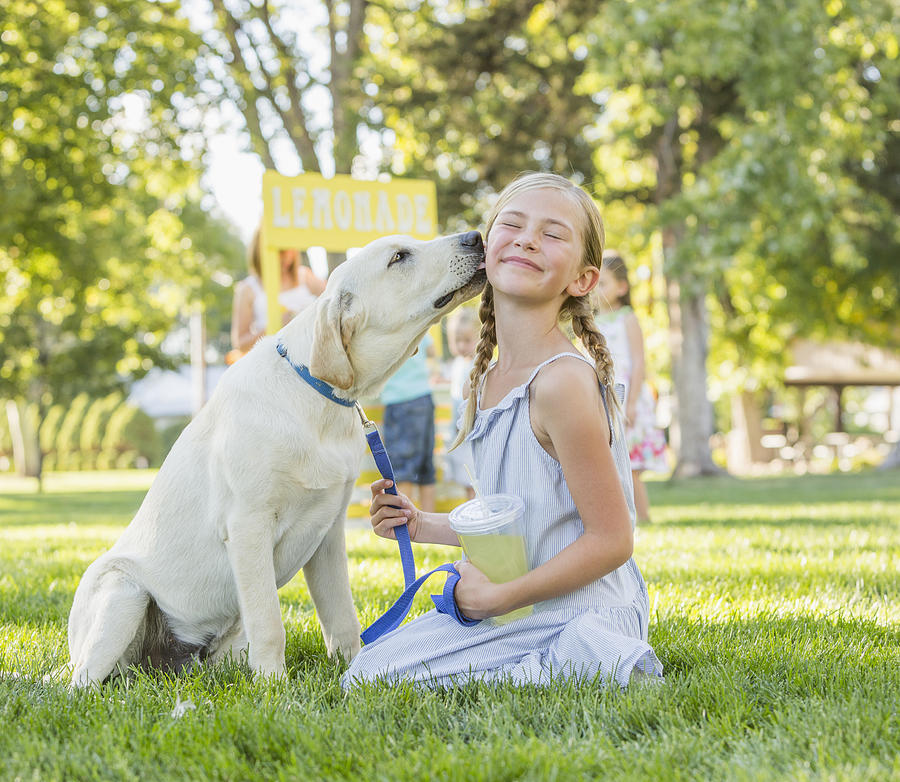 Pet dog licking face of Caucasian girl on grassy lawn Photograph by Mike Kemp