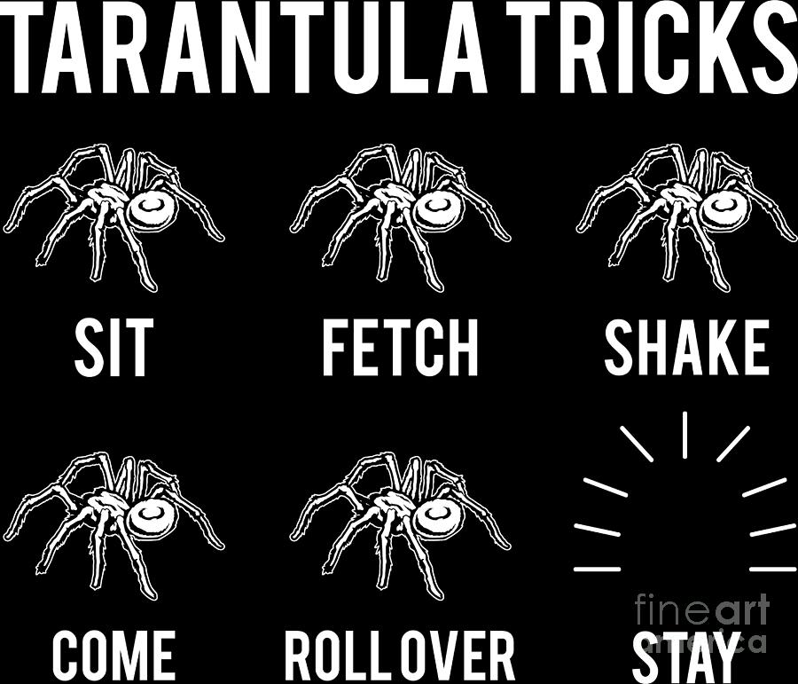 pet tarantula