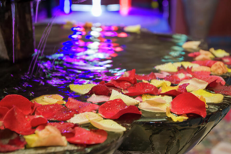 Petals and Fountain Reflections Photograph by Bill Chardon Petals and Fountain Reflections Photograph by Bill Chardon