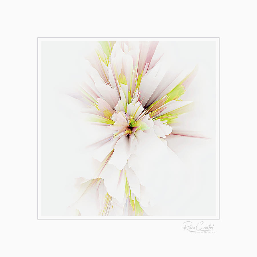 Flora Photograph - Petals Softly Go Kaboom by Rene Crystal