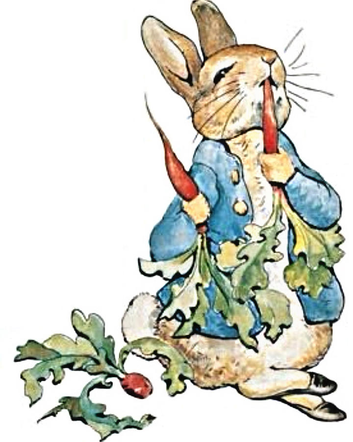 Peter Rabbit Painting by Nursery Classics | Fine Art America