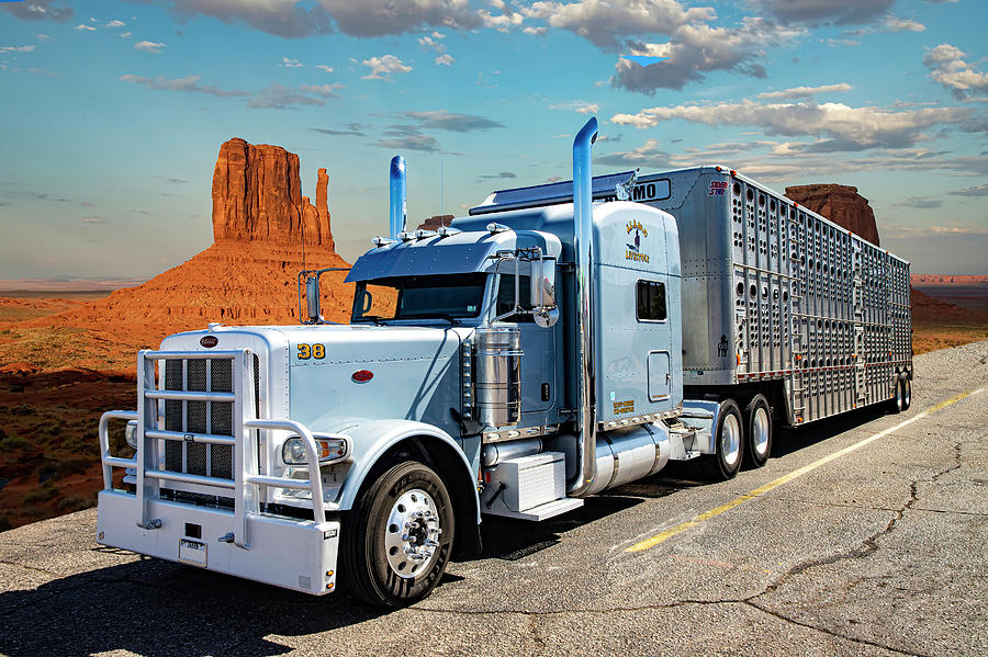 Peterbilt, American Truck with Cattle Trailer Photograph by Gert Hilbink -  Pixels