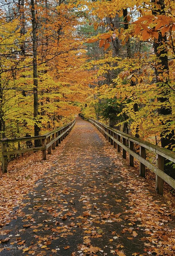 Peterborough bike trail Photograph by Geoffrey Settles - Fine Art America