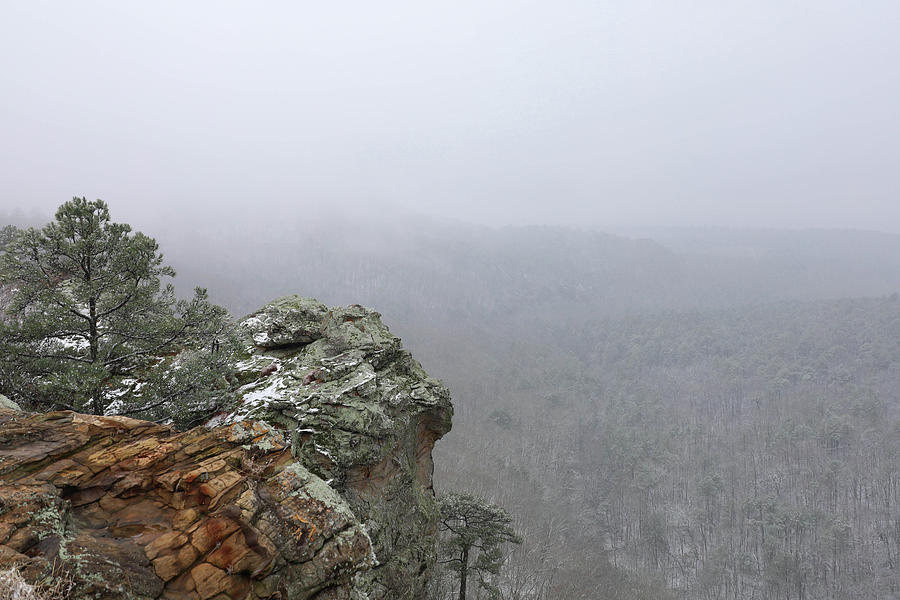 Petit Jean Mountain Photograph by Ferman McClure Fine Art America