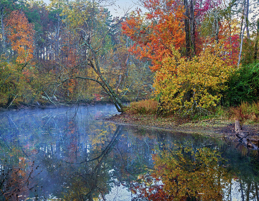 Petit Jean River, Petit Jean State Park, Arkansas Photograph by Tim