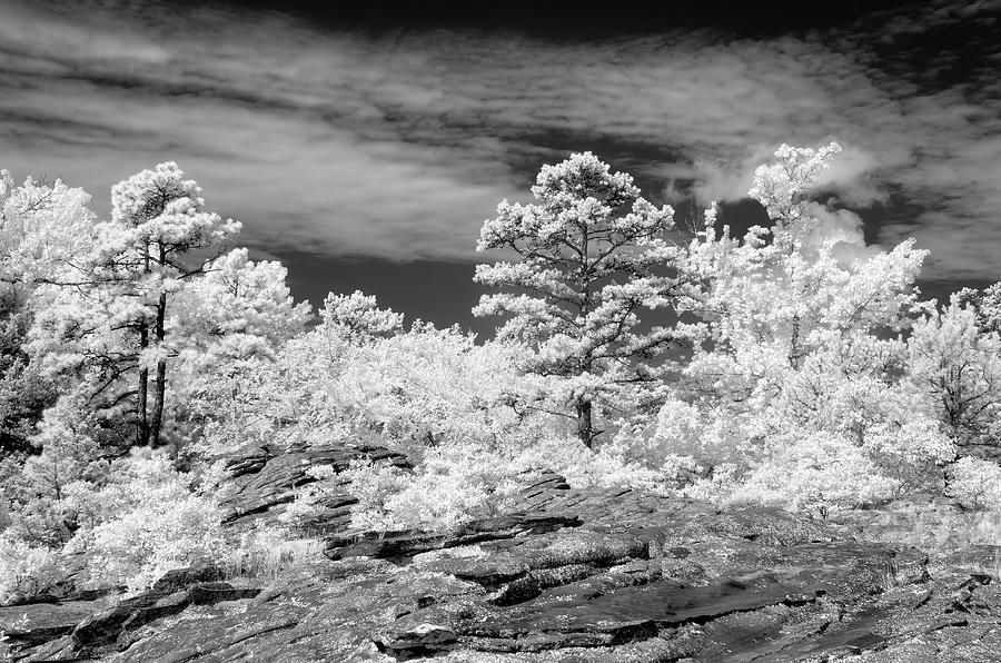 Petit Jean Turtle Rocks in BW Photograph by James Barber