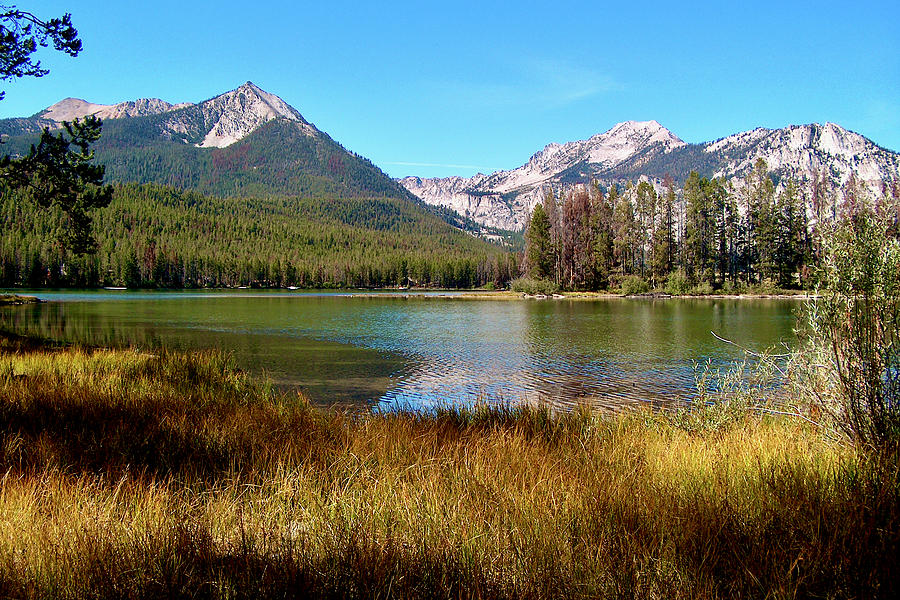 Petit Lake, Sawtooth National Recreation Area, Idaho Photograph by Ruth ...