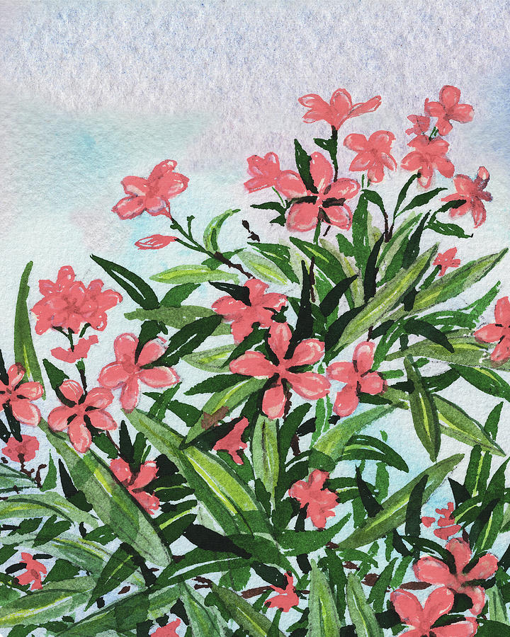 Petite Pink Nerium Oleander Plant Watercolor Painting by Irina Sztukowski