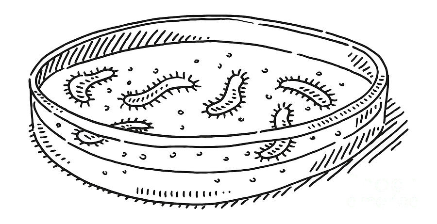 Black And White Drawing - Petri Dish Bacteria Growth Drawing by Frank Ramspott
