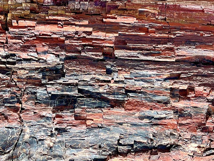 Petrified Forest 22-1-16 Photograph