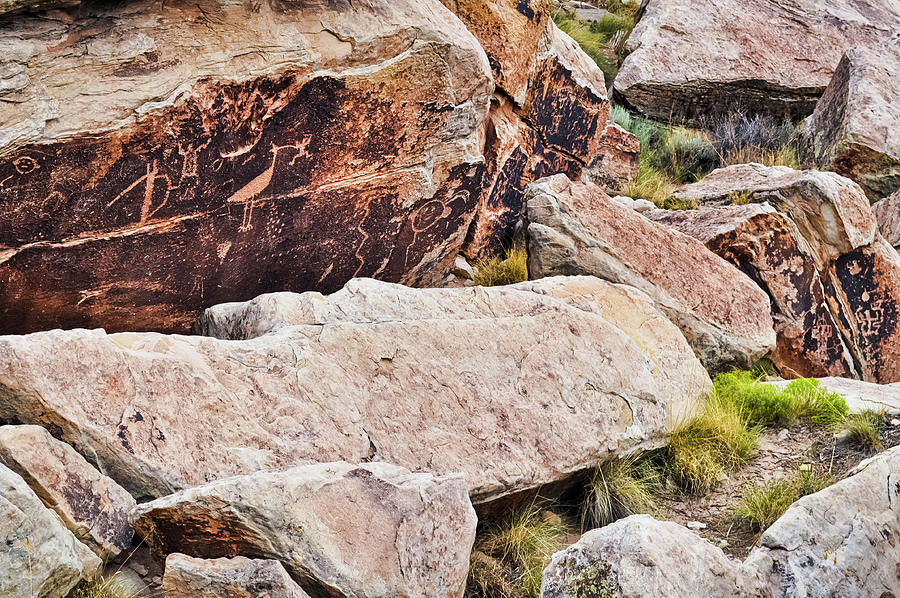 Petrified Forest National Park Petroglyphs  Photograph by Kyle Hanson