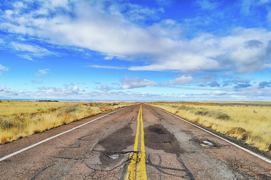 Petrified Forest National Park Road Color Photograph by Kyle Hanson