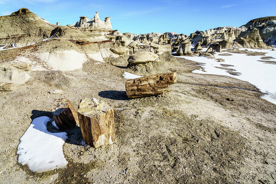 Petrified wood at Bisti Badlands Photograph by Alexey Stiop