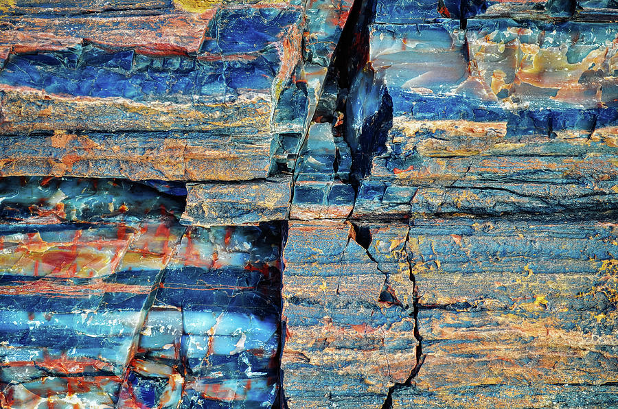 Petrified Wood Section Photograph by Kyle Hanson