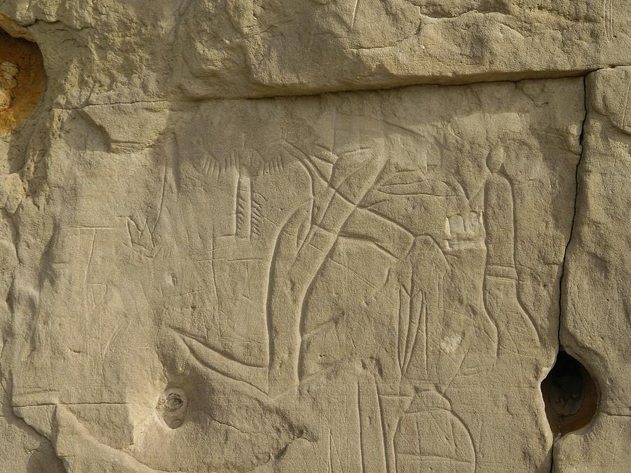 Petroglyph 3 Photograph by Lisa Mutch