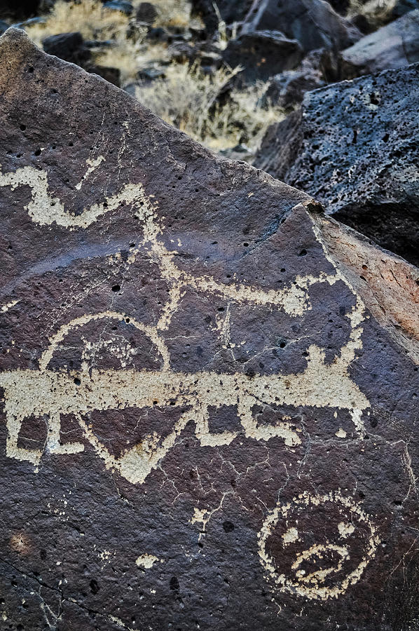 Petroglyph Canyon Animal Photograph by Kyle Hanson