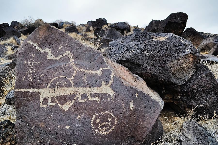 Petroglyph Monument Animal Photograph by Kyle Hanson