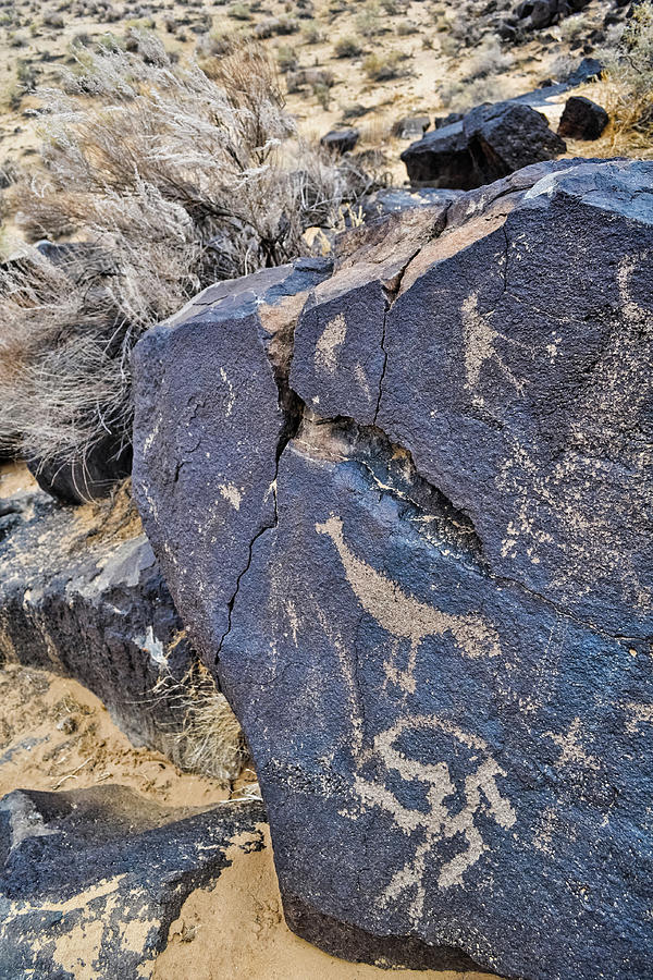 Petroglyph Rock New Mexico Photograph by Kyle Hanson