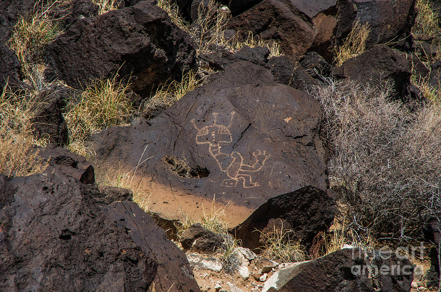 Petroglyph Photograph by Stephen Whalen