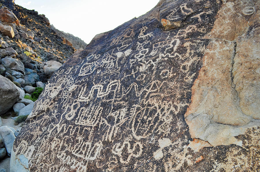 Petroglyph Wall Lake Mead National Park Photograph by Kyle Hanson