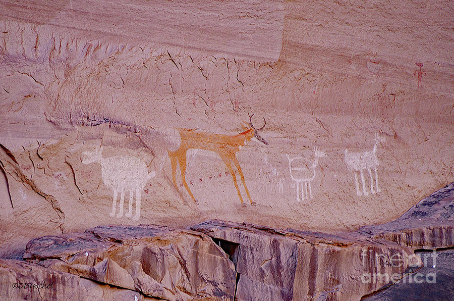 Petroglyphs at Canyon de Chelly Photograph by Debby Pueschel