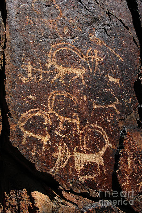 Petroglyphs Photograph by Elbegzaya Lkhagvasuren