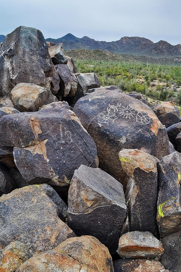 Petroglyphs Saguaro National Park Photograph by Kyle Hanson