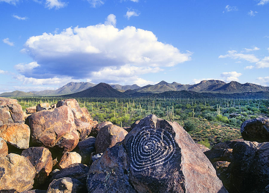 Petroglyphs, Saguro National Park Photograph by Buddy Mays