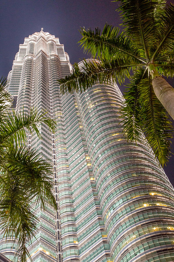 Petronis Tower 2 Photograph by Bj S