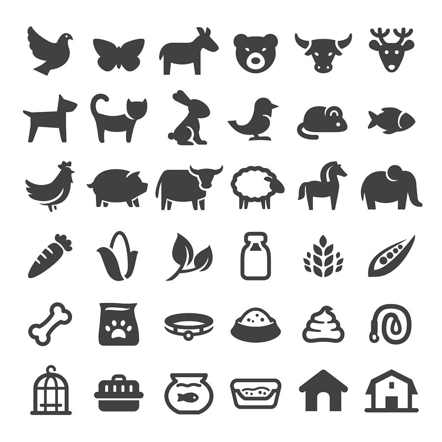 Pets and Zoo Icons - Big Series Drawing by -victor-