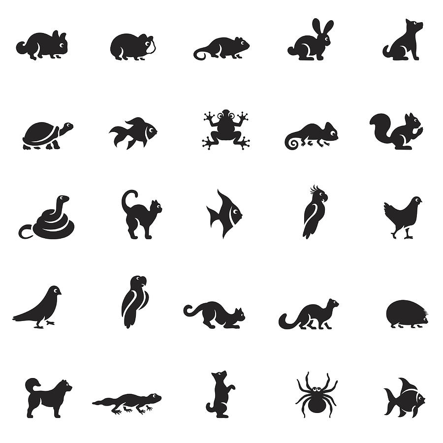 Pets Icon Set Drawing by AlonzoDesign