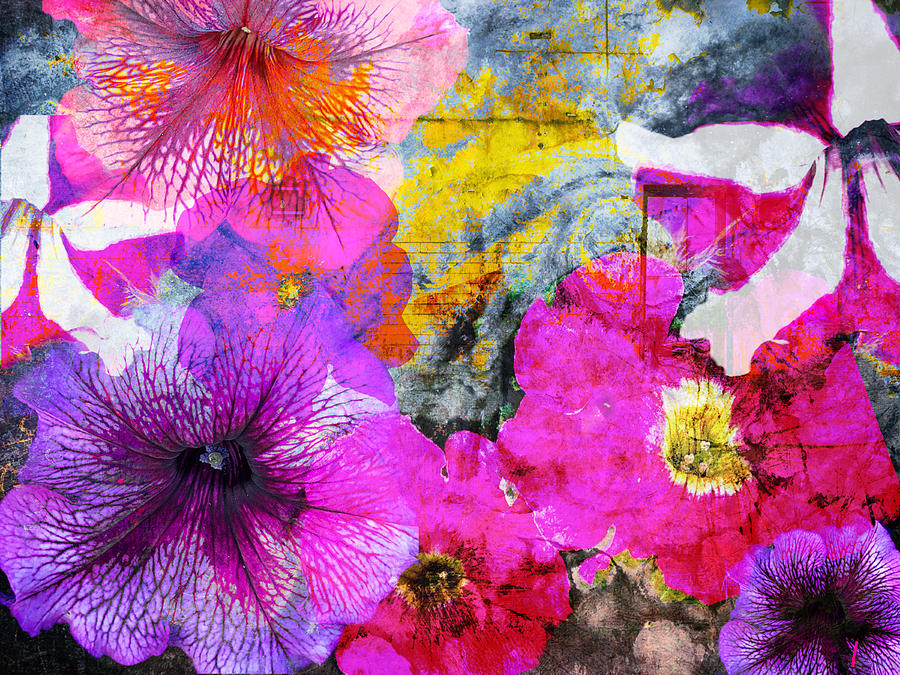 Petunias Photograph by Sandra Selle Rodriguez