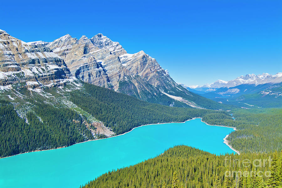 Peyto lake, Banff national Park, Alberta, Canada Photograph by Neale And Judith Clark