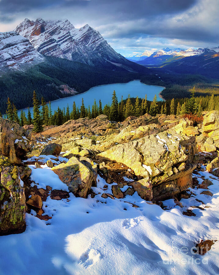 Peyto Lake, Banff National Park Photograph by Thomas Nay Peyto Lake, Banff National Park Photograph by Thomas Nay