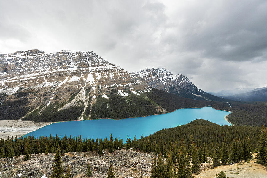 Peyto Lake Photograph by Garth Steger - Fine Art America