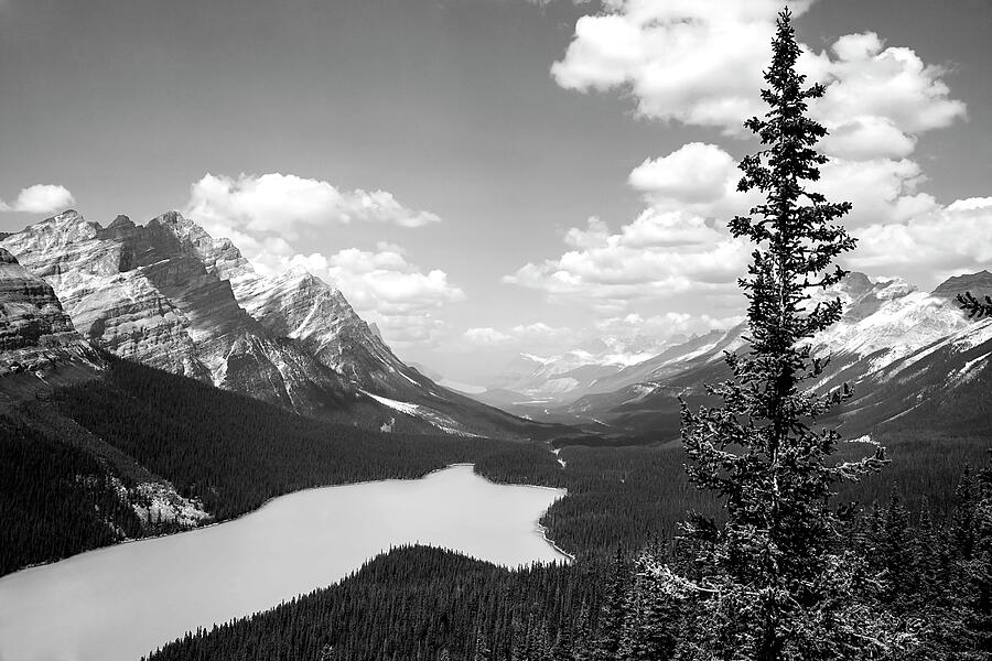 Peyto Lake in Black and White Photograph by Nicola Nobile - Fine Art ...