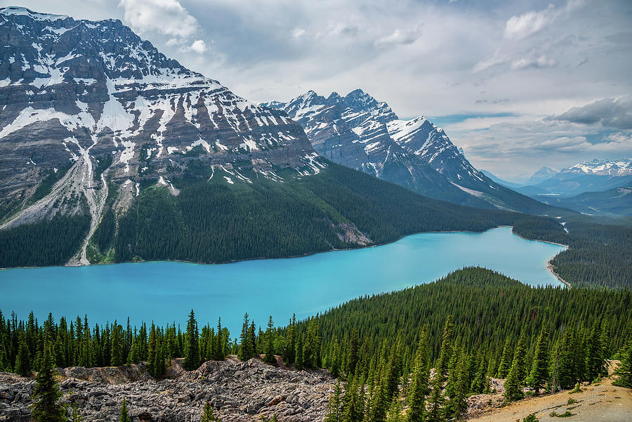 Peyto Lake Photograph by Paul Moore - Fine Art America