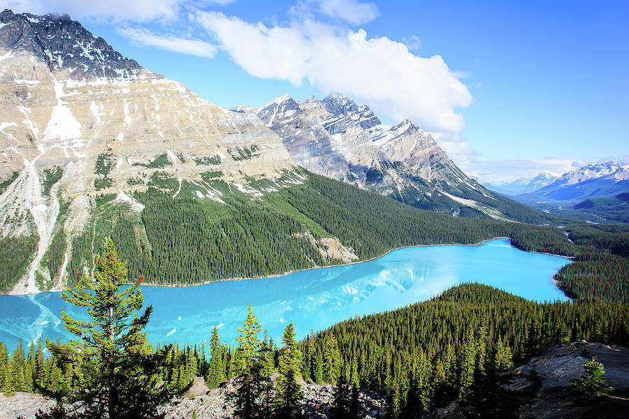 Peyto Lake Photograph by Rodney Erickson