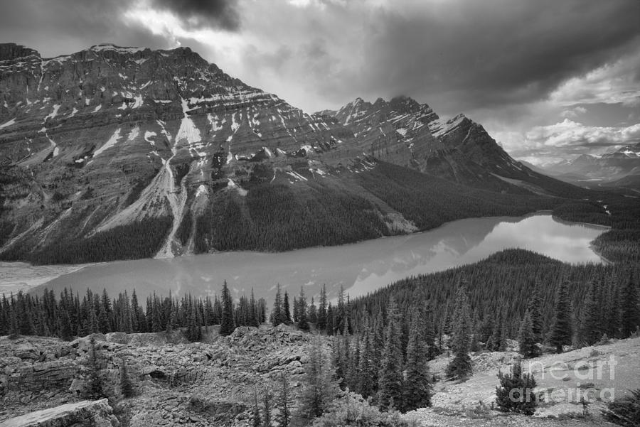 Peyto Lake Summer Storm Reflections Black And White Photograph by Adam Jewell