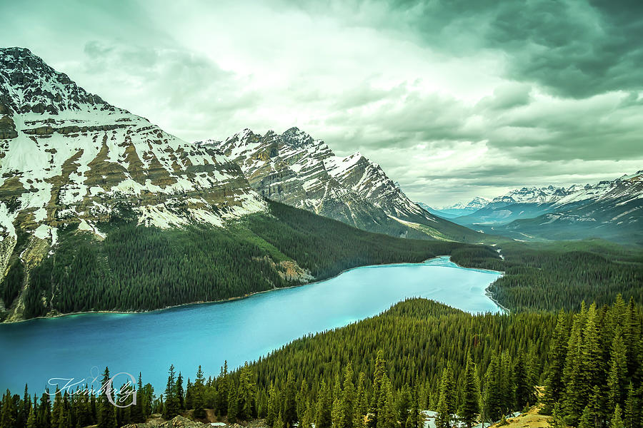 Peyto Lake view in Banff National park Photograph by Kim Gelissen - Pixels