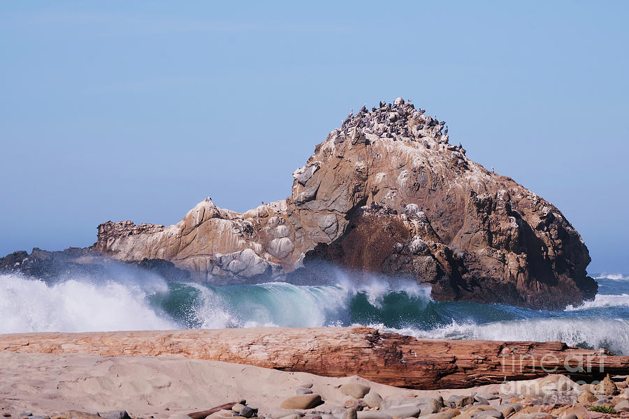 Pfeiffer Beach Rock Photograph by Lidija Ivanek - SiLa