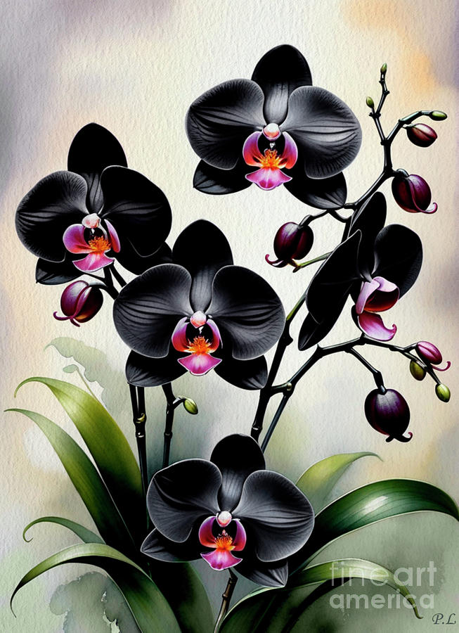 Phalaenopsis Orchids Black Butterfly Painting by Pavel Lukashin - Fine ...