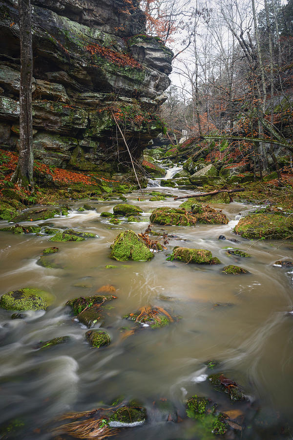 Phantom Canyon Creek Photograph by Grant Twiss