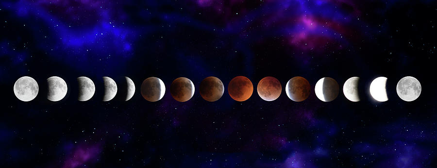 Phases Of A Lunar Eclipse Photograph