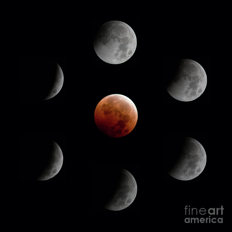 Phases of Lunar Eclipse Photograph by Mark Jackson - Fine Art America