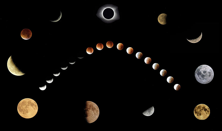 Phases of the Moon Photograph by James DeFazio - Fine Art America