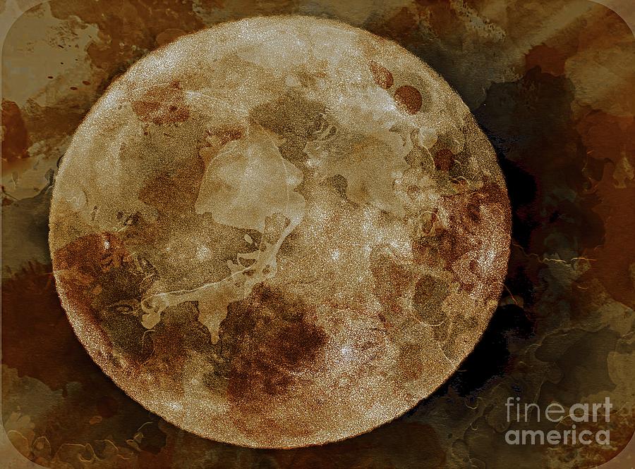 Phases Of The Moon Photograph by Marcia Lee Jones