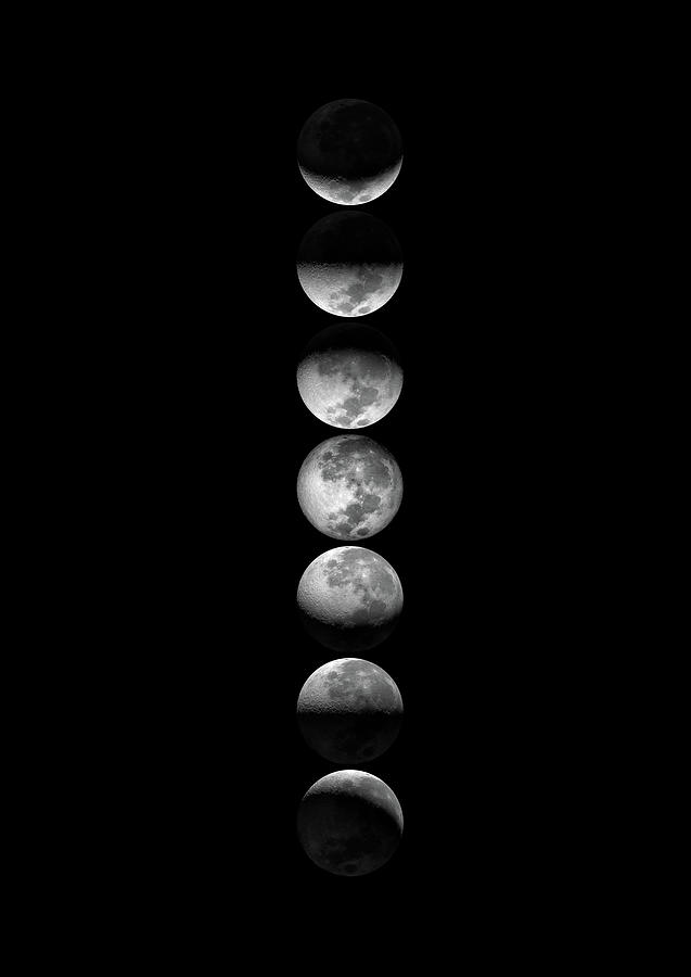 Phases of the Moon Digital Art by Penny And Horse - Fine Art America