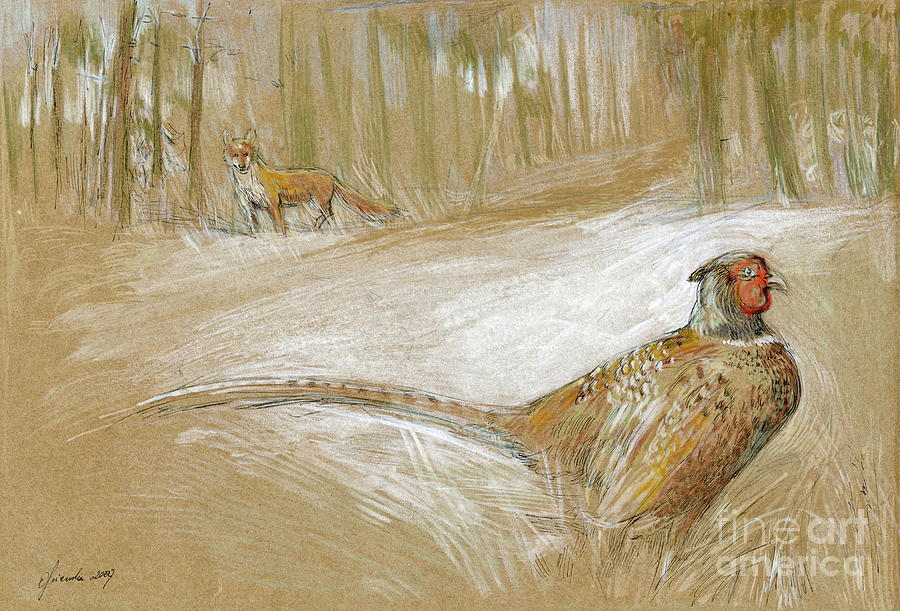 Pheasant And Fox Painting